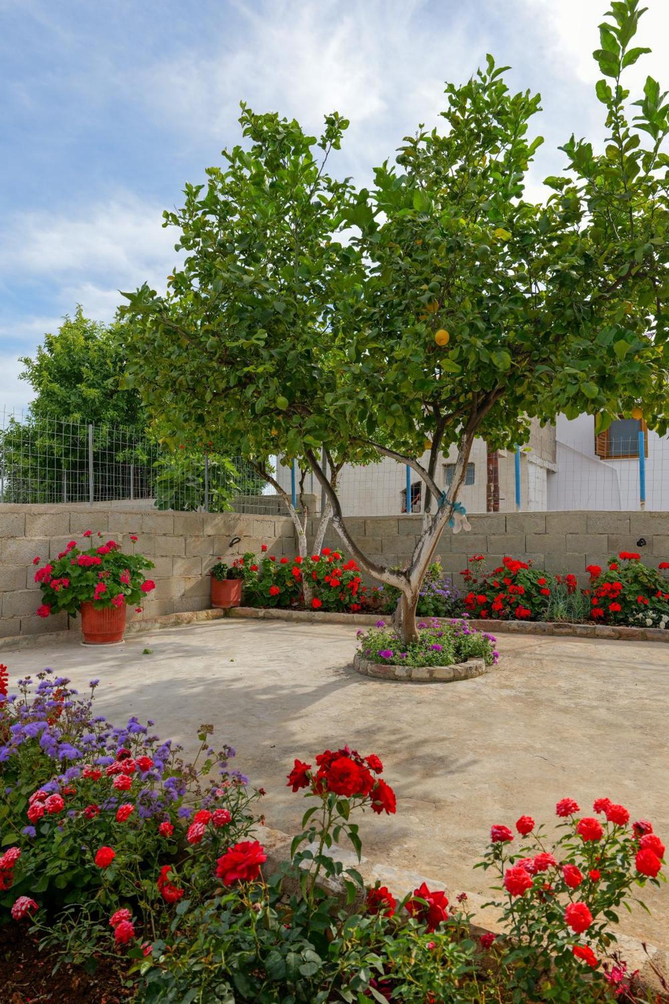 Brahimi Guest House Ksamil Exterior photo